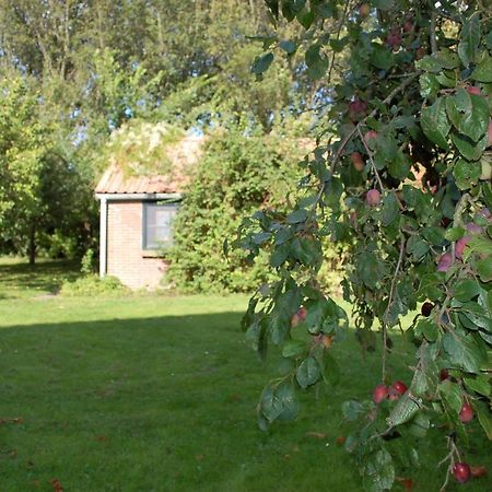 Vita Nova Hippolytushoef Kültér fotó